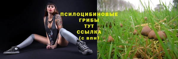 СК Богданович