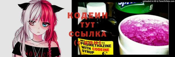 спиды Снежногорск
