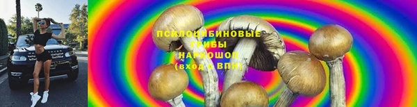 СК Богданович