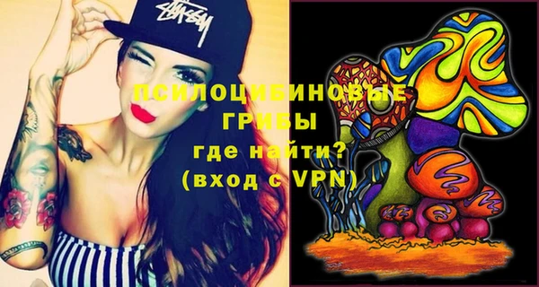 a pvp Богородицк