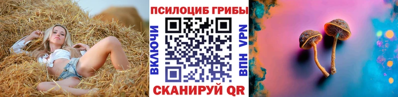 Галлюциногенные грибы Cubensis  Томмот 