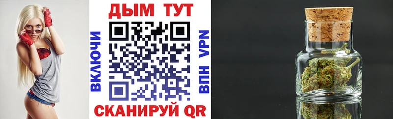 Шишки марихуана THC 21%  Томмот 